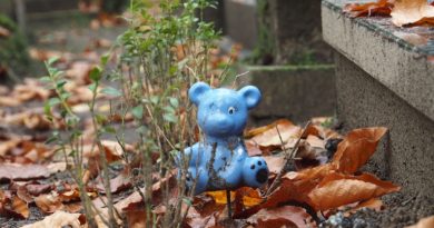 Zabawka dziecięca - niebieski miś - przy grobie dziecięcym, ilustracja do artykułu o raporcie NIK