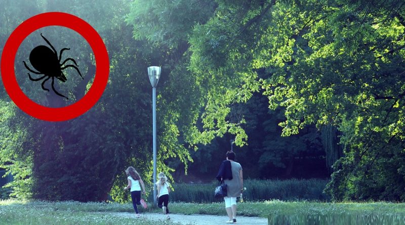 Dzieci biegnące ścieżką w parku i kleszcz w tle jako symbol zagrożenia boreliozą. Borelioza